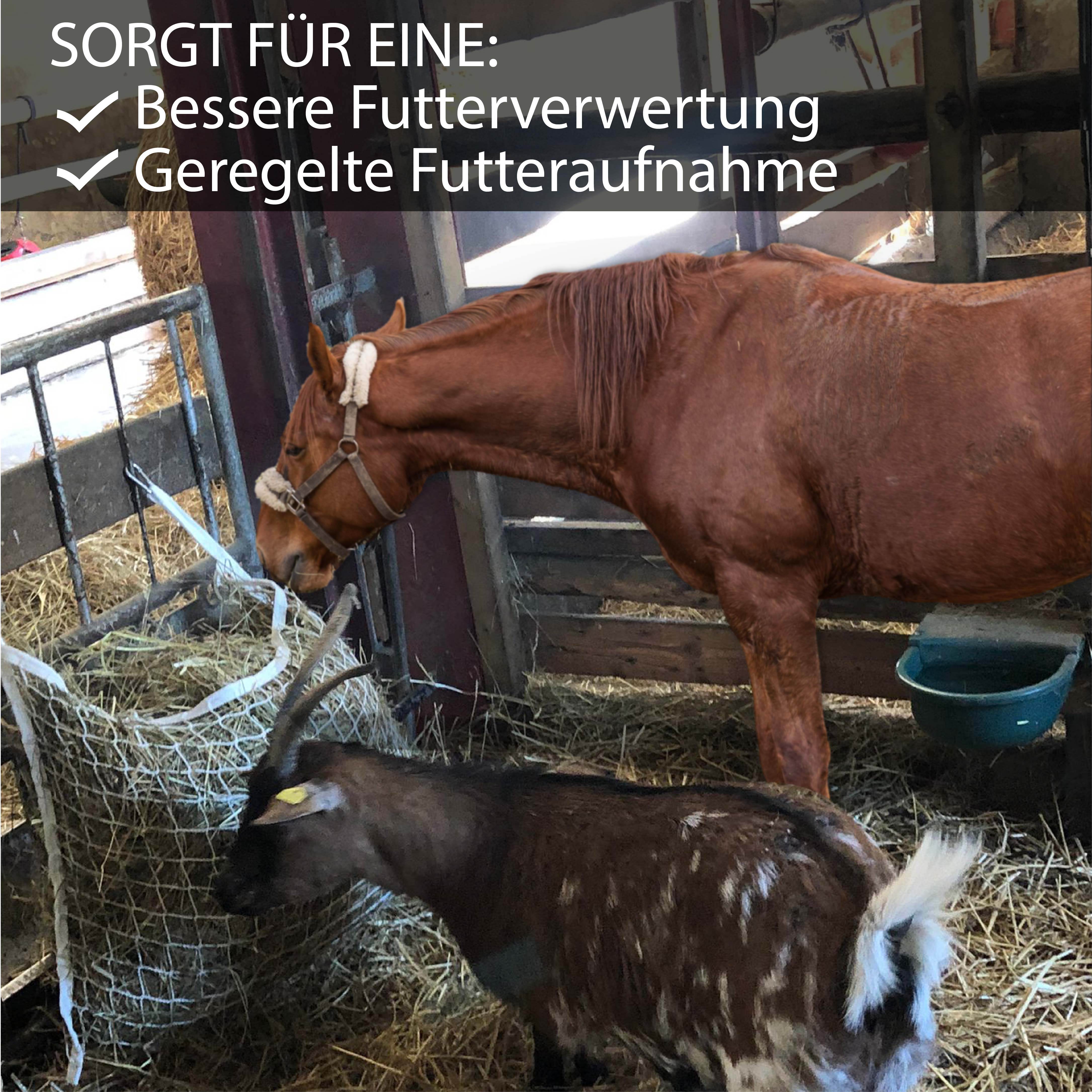 Heunetz eckig in weiß 3x3cm, 120cmx90cm, 9kg Füllgewicht